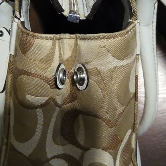 Coach - Picture 11 of 12